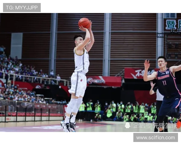 辽宁逆转深圳力拒三杀 赵继伟关键得分 辽宁逆转深圳力拒三杀 赵继伟关键得分